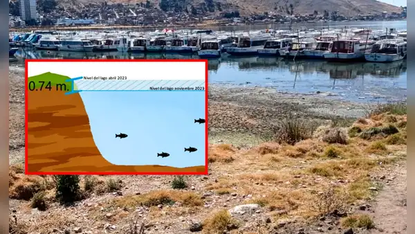 Nivel del lago Titicaca desciende 10 centímetros al mes por el fenómeno El Niño