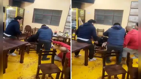 Huacho: perro de raza pitbull atacó a cachorro que era cargado por su dueña