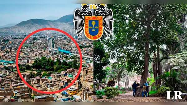 Conoce la historia del bosque de Caja de Agua, el pulmón natural San Juan de Lurigancho