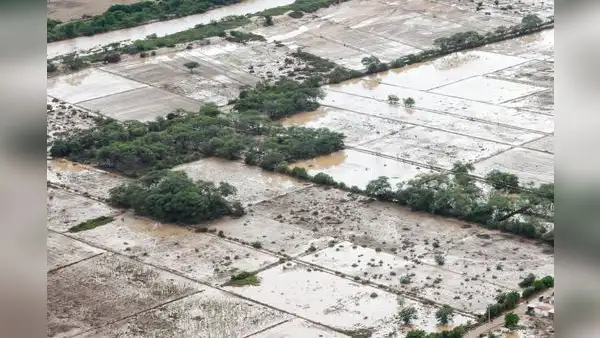 MEF: conflictividad social y crisis climática causaron perdidas por casi S/12.000 millones