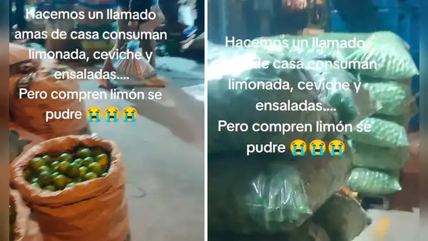 Comerciante pide a amas de casa que compren su limón para que no se le pudra: “Ya está barato”