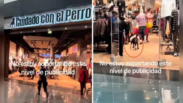 Inauguran tienda Cuidado con el Perro y captan a can persiguiendo a clientes: “Hizo mérito a su nombre”