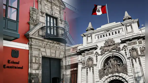 TC declara constitucional ley de reforma que prohíbe reelección inmediata de congresistas