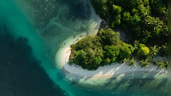 Así era Clymene, el océano que aislaba a la Amazonía del resto de Sudamérica