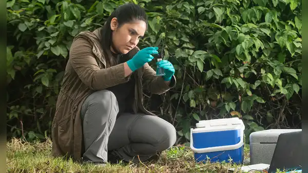 ¿Cuánto gana un ingeniero ambiental en el sector público? Este es el sueldo promedio