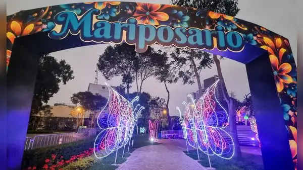 ¡Mariposario gratis en Lima! Horario, dónde es y cómo llegar al parque interactivo