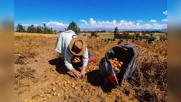 Productores agropecuarios demandan la creación de Reactiva Agrícola para afrontar la crisis