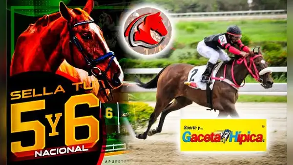 Traqueos y pronósticos La Rinconada, 19 de noviembre: mira AQUÍ los datos fijos de Fusión Hípica y Gaceta Hípica