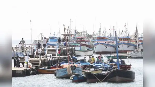Pescadores de anchoveta en crisis solicitan ayuda en Piura