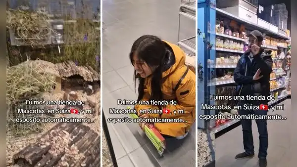 Peruana se emociona al encontrar cuy en Suiza y en redes bromean: “En Europa no se come”