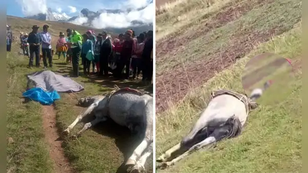 Pareja de esposos y su caballo mueren tras ser impactados por un rayo en Áncash