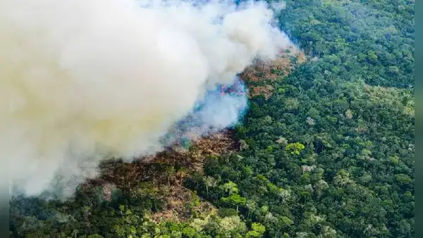 Serfor: más del 70% de incendios forestales han ocurrido en la Amazonía Peruana