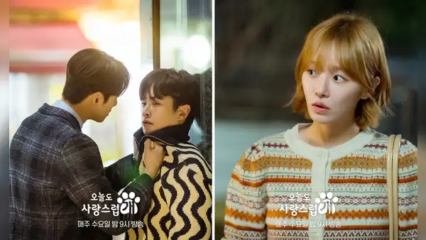 'A Good Day to be a Dog' capítulo 7 sub español: horario y dónde ver ONLINE el k-drama de Eunwoo