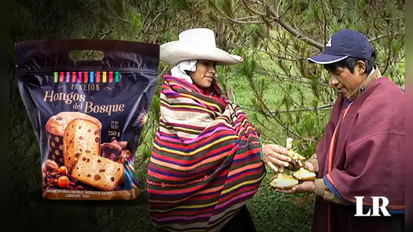 De Lambayeque para el Perú: panetón de hongos a la conquista de los paladares en Navidad