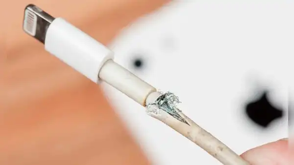 ¿El cable de tu cargador está roto o se ha pelado? Tu celular corre estos riesgos por usarlo