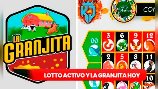 Lotto Activo y La Granjita EN VIVO: resultados de HOY, 24 de noviembre