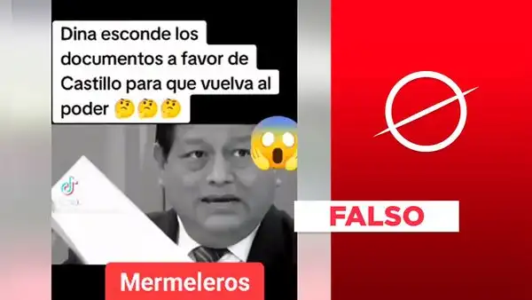 Boluarte no esconde “archivo confidencial” de la ONU que restituiría a Pedro Castillo en la presidencia