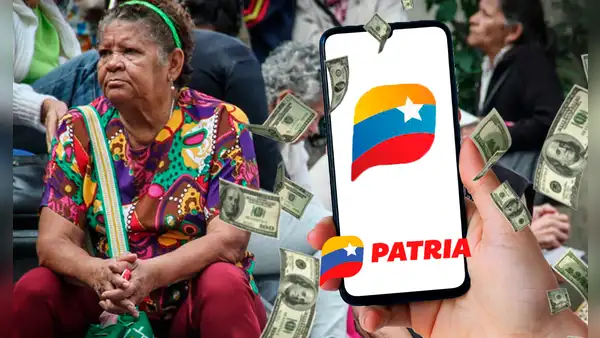 NUEVO BONO de 705 bolívares, noviembre: cobra en 5 pasos el NUEVO PAGO por Patria