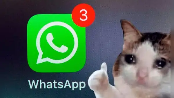 WhatsApp: ¿qué hacer si no recibes notificaciones y solo ves mensajes nuevos al entrar a la app?