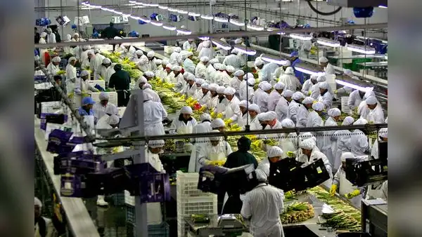 Midagri: 8 regiones incrementaron sus agroexportaciones hasta setiembre