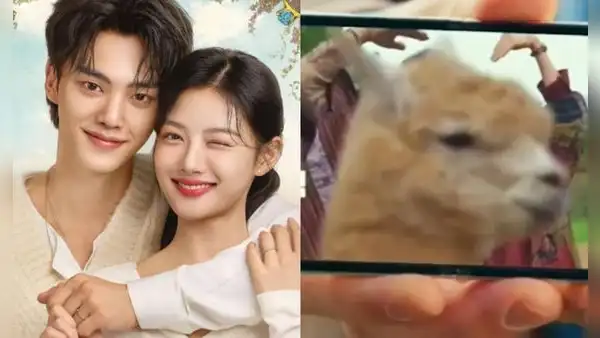¡Perú aparece en 'Mi adorable demonio'!: llamas se lucen en k-drama de Netflix con Song Kang