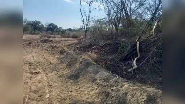 Lambayeque: denuncian atentado en zona arqueológica de Pacora