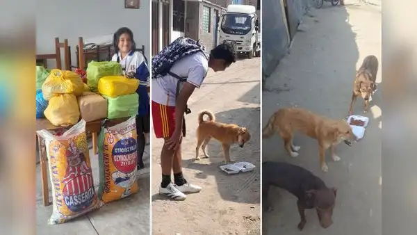 Escolares reciclan botellas y latas para costear curaciones y comida de animales callejeros en Trujillo