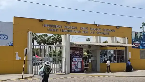 Universitarios irán a clases hasta febrero en Puno, Arequipa y Tacna