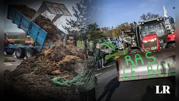 Agricultores rechazan política agrícola y lanzan estiércol a edificios de gobierno en Francia