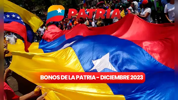 Bonos de la Patria HOY: estos son los subsidios que llegarán para diciembre 2023
