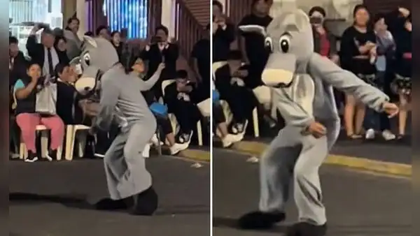 Burrito ‘chocolatero’ la rompe con sus pasitos de baile en TikTok: “Tuki tuki tuki ta”