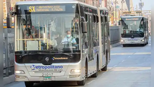 De Comas a Miraflores en el Metropolitano: conoce los nuevos paraderos, horarios y rutas