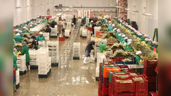 Adex: exportaciones peruanas a octubre sumaron más de US$52.000 millones