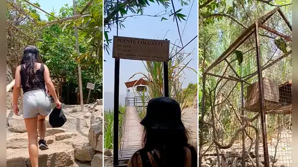 Peruana muestra ruta de la selva escondida en SJL y sorprende en redes: "¿Cómo llegar y cuánto cuesta?"