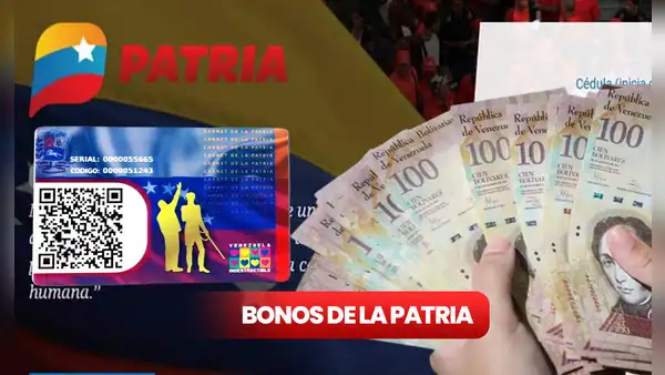 Nuevos Bonos de la Patria: COBRA HOY estos bonos en diciembre 2023