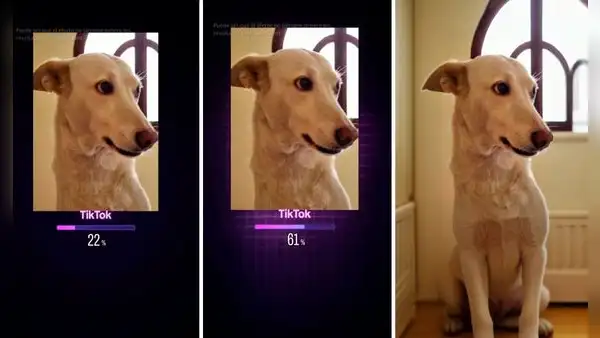 ¿Cómo utilizar el filtro que expande imágenes con IA que está causando furor en TikTok?