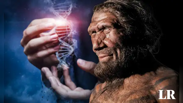 La extraña enfermedad que los humanos heredamos de los neandertales, según un estudio