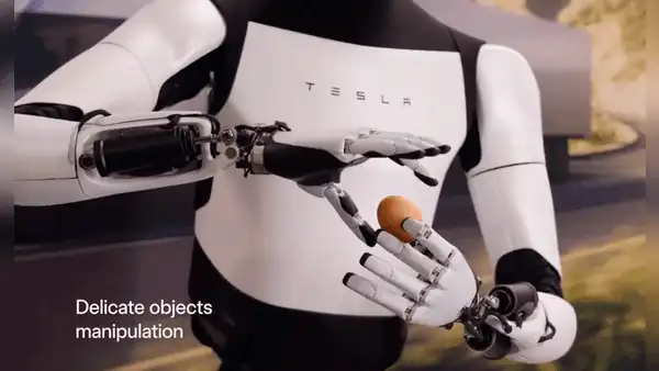 Elon Musk presenta a robot humanoide que es capaz de manipular objetos con delicadeza