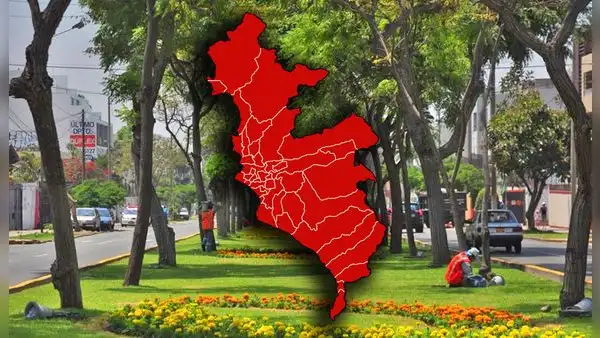 Ni Miraflores ni San Borja: este es el distrito de Lima Metropolitana con más áreas verdes