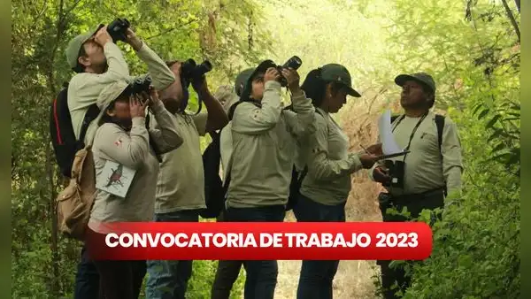 ¡Empieza el año con trabajo nuevo! Sernanp ofrece 111 empleos con sueldos desde S/2.200