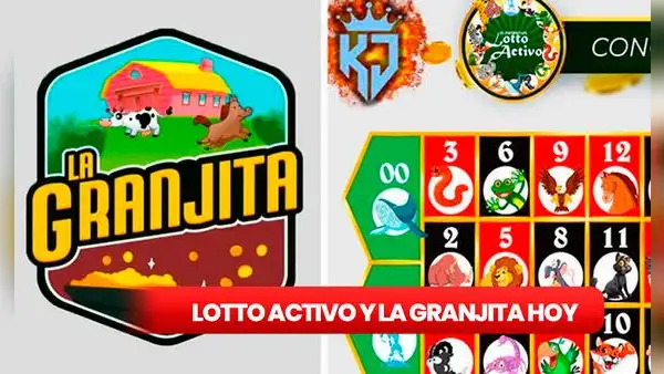 Lotto Activo y La Granjita EN VIVO: resultados de HOY, 20 de diciembre