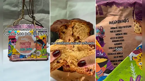 Emprendedora peruana ofrece panetón vegano usando peculiar PUBLICIDAD DE MARKETING: “El mejor del Perú”