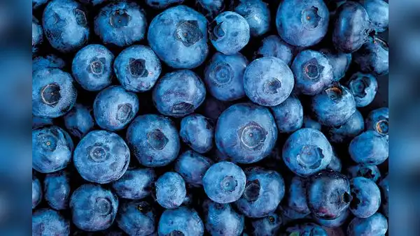 FAO: comercio mundial de berries superó al de plátanos en 2022, con los arándanos a la cabeza