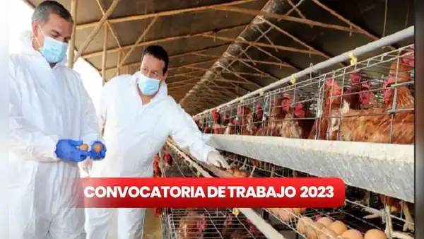 ¿Quieres cambiar de trabajo en 2024? Senasa ofrece EMPLEOS con sueldos de hasta S/5.500