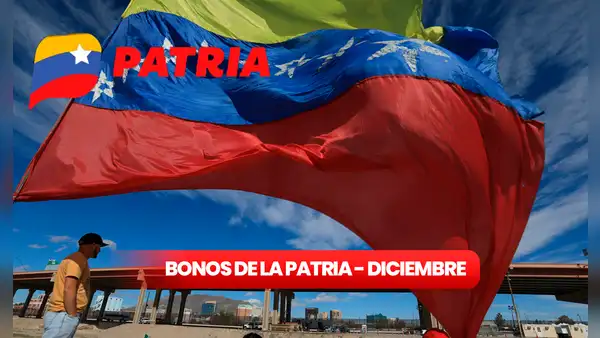 NUEVOS BONOS de la Patria, 28 de diciembre: COBRA HOY estos bonos en diciembre 2023