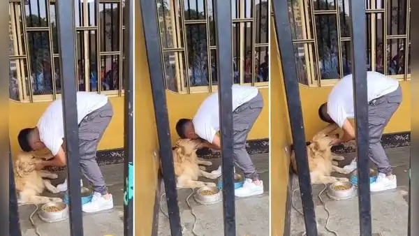 Piero Quispe protagoniza conmovedora escena al despedirse de su mascota antes de viajar a México