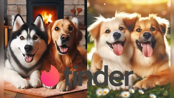 ¿Tinder para perros? Estas son las aplicaciones para conseguirle pareja a tu mascota