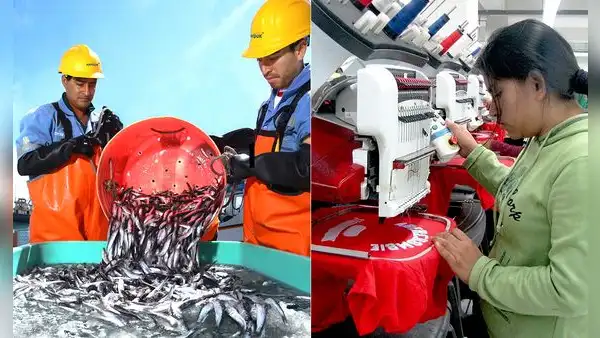 Empleo en el sector exportador cae 7,2% entre enero y octubre de 2023