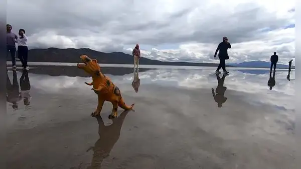 La Laguna de Salinas es el espejo más grande del Perú: ¿cómo llegar desde Lima?