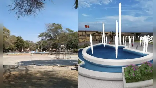Piura: denuncian a alcalde por talar árboles para construir Parque de las Aguas